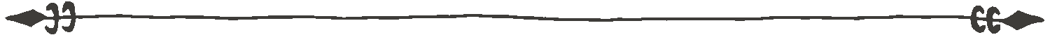 MountainWise Divider Line