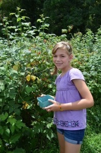 Olivia Masciarelli visiting Danny Barrett's Ten Acre Garden Farm in Bethel for U Pick Raspberries. U Pick farms are part of our Find your Adventure! Agritourism Guide opportunities