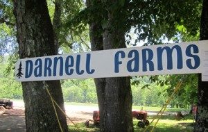 darnell-farms-sign-448wide-300x190